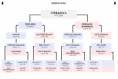 /album/galeria-de-fotos-streakin-6-cobertura/streakin-6-genealogia-jpg/